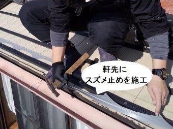 軒先にスズメ止めを取り付ける職人