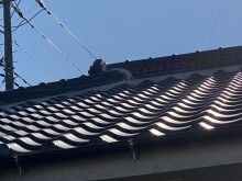 H様漆喰詰め直し棟