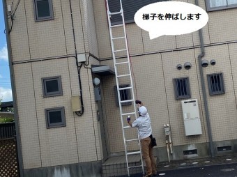 二連梯子を赤いロープを引きながら伸ばすスタッフ