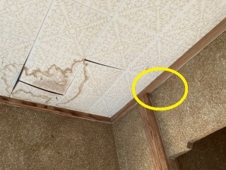 散水テストを行っても水染みは出ないと言う解説画像