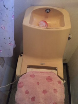 追加工事を依頼された既存のトイレ