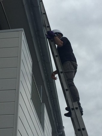 梯子で屋根に上がる調査員