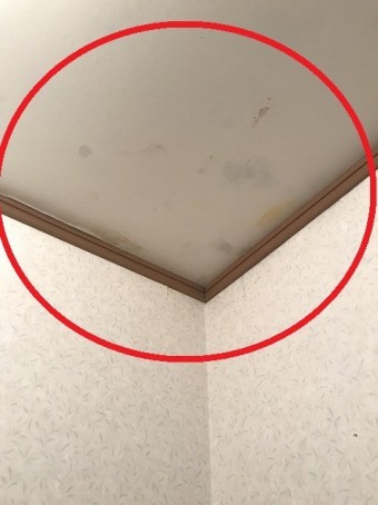 室内雨漏り箇所①