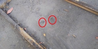 あちこちに破損が見られる防水シート