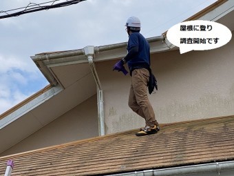ひたちなか市で台風被害にあったコロ二アル屋根に登る調査スタッフ