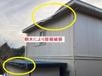 倒木により屋根が破損したセキスイハウスの住宅