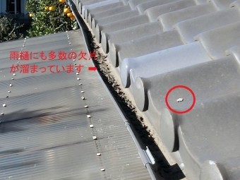 屋根に漆喰が落下