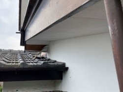 軒裏材が剥がれてしまっている水戸市の現場