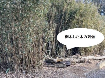 家屋に損傷を与えた倒木した木の残骸