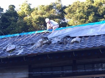 屋根登り