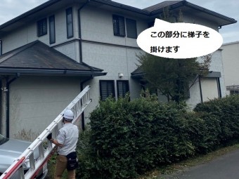 屋根に登るために梯子を運ぶ調査スタッフ