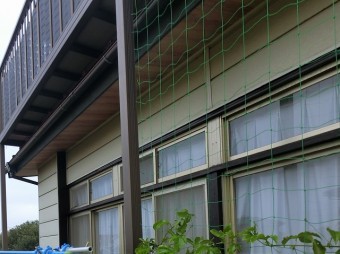 室内の雨漏り箇所の外側風景