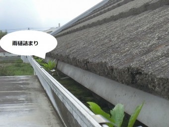 石岡市のアパートの北側の大型雨樋は苔詰まりを起こしている