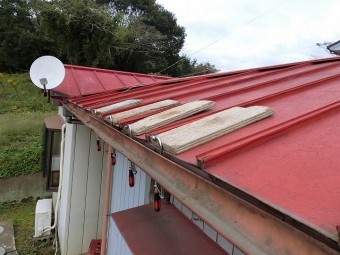 瓦棒屋根の軒先が強風で捲れたので万力で固定している