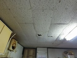 天井材穴あき画像遠めから