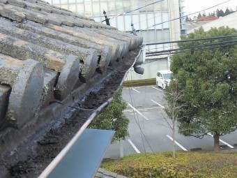 半丸雨樋東側