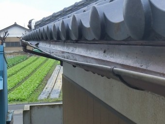 偶然見つけた西面軒樋の機能不良