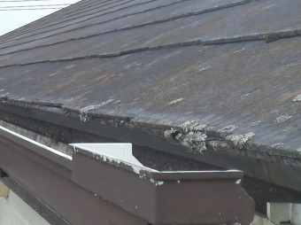 化粧スレートの軒先小口部分に生えた苔