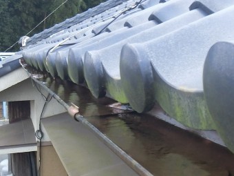 偶然見つけた北側の軒樋の機能不良