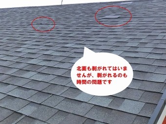 北面も剥がれそうになっています