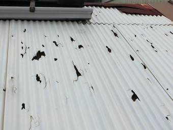 降雹により穴の空いた波板屋根