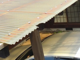 テラス波板屋根の先端割れ