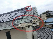 屋根被害1