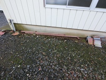 H様鳩小屋縦樋落ちている