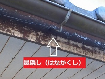 鼻隠しの塗膜が無くなっている
