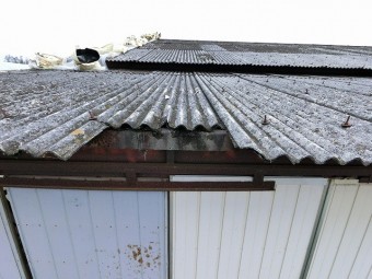 台風で飛散した倉庫に現場調査でお伺いした際に撮った屋根の破損画像