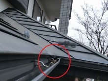 雨樋変形112