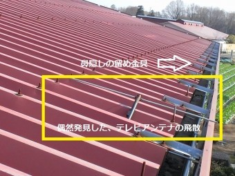 鼻隠しパネルの留め具と偶然見つけたテレビアンテナの飛散した一部