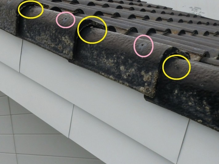 ケラバ瓦の釘抜けを違うアングルから撮影
