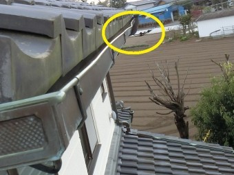 筑西市で現場調査中の2階南側銅軒樋で変形を確認