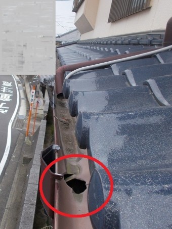 北側の雨樋