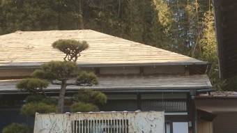 新規野地板施工