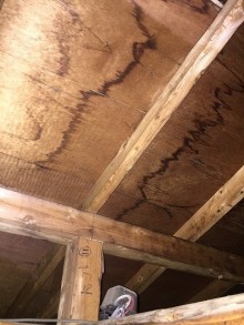 屋根裏から見た屋根材下の野地板の雨染み一枚目