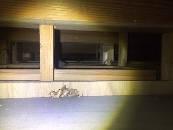 天井裏の小屋梁が邪魔で雨漏り天井が見えない