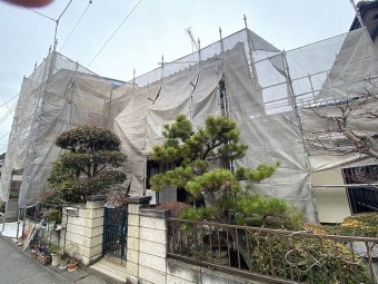 飛散防止シートで覆った仮設足場を東側から撮影