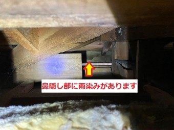 屋根裏天井からの調査で鼻隠し裏に雨染みを発見