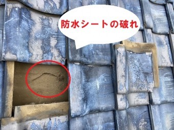 瓦を捲ると防水シートの破れがありました