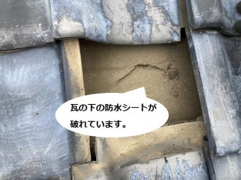 瓦を捲り上げると防水シートが破れているのを確認