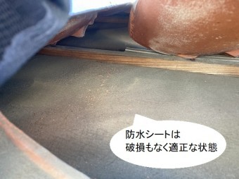 瓦を捲り上げ防水シートの状態を確認