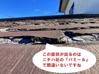 ニチハ社の『パミール』