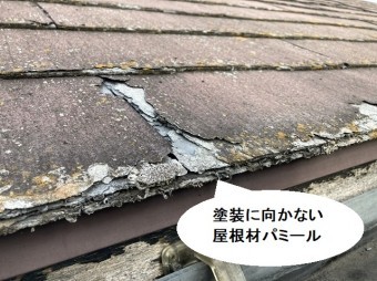 塗装に向かない屋根材であるニチハ社製パミール