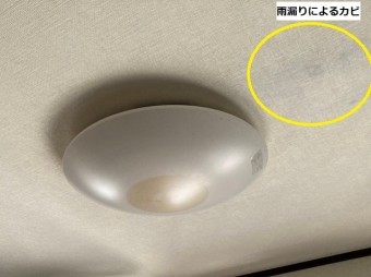 雨漏りがシーリングライトの中にあり周りの壁紙にはカビも発生