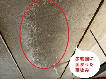 テナントビル天井下地に雨漏りの跡
