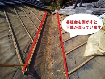 谷板金を剥がすと……湿っています
