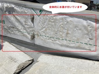 水戸市のパラペット雨漏りは散水試験実施と外壁膨れの交換工事で分かった外壁の中に湿気が大量