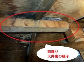 屋根裏から雨漏りの状態を確認すると広範囲の雨染みを確認